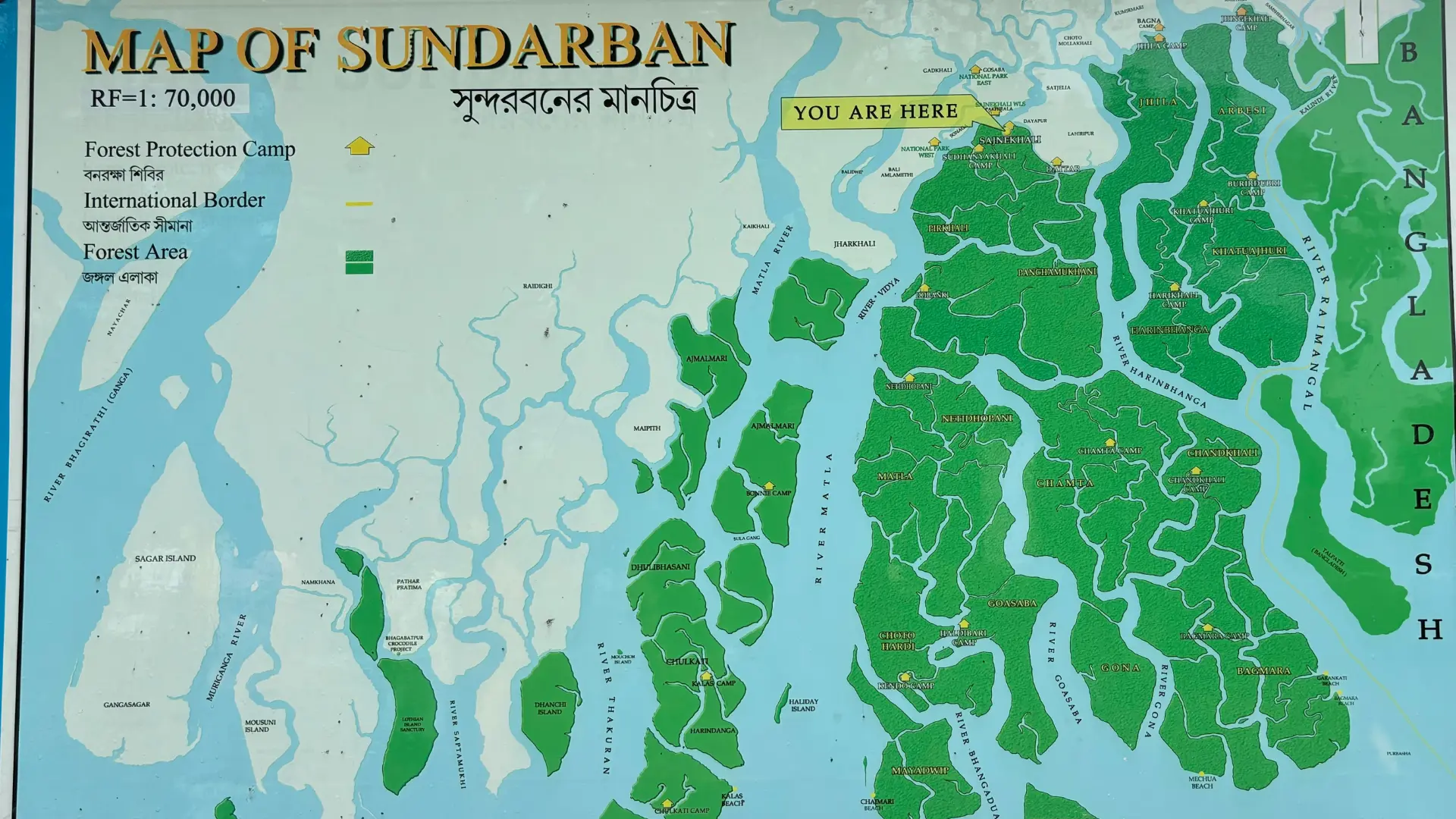 Sundarban Photography